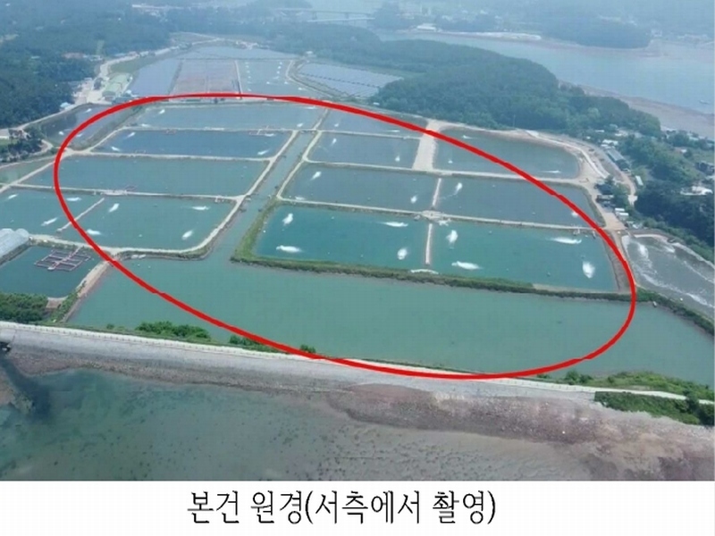 2023타경54035 충청남도 태안군 남면 신온리 820 양어장(축양,양식) 경매 이미지