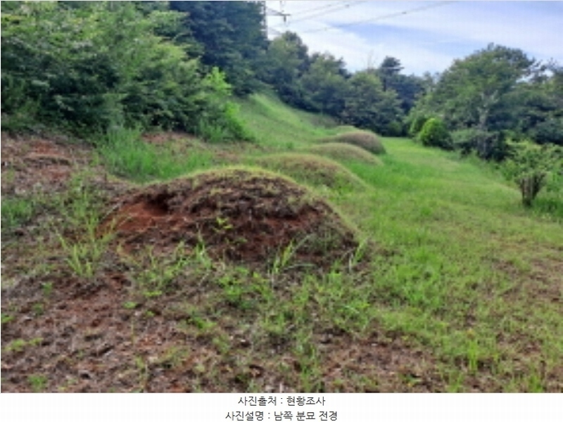 2024타경1991 충청남도 서산시 운산면 갈산리 산116 임야 경매 이미지