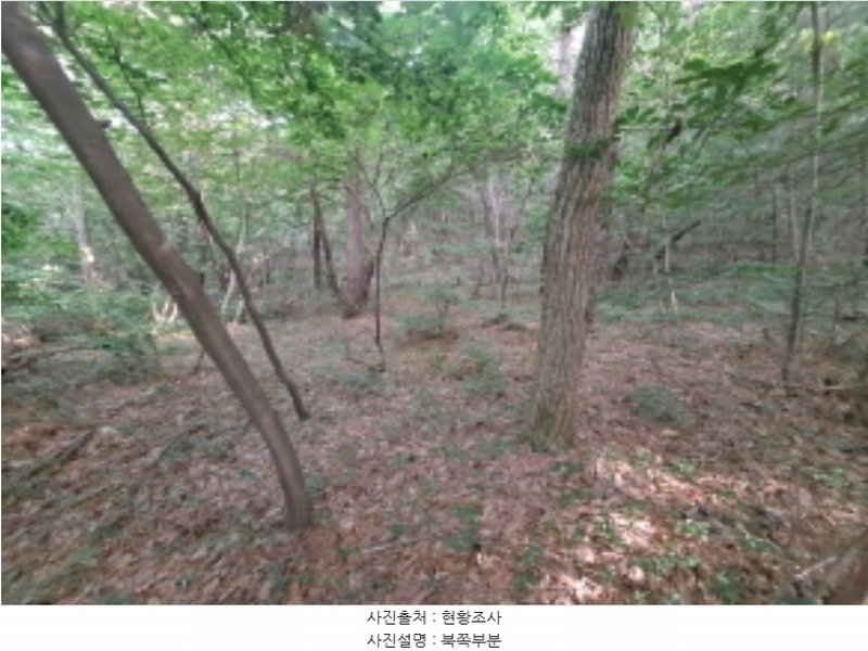 2024타경1991 충청남도 서산시 운산면 갈산리 산116 임야 경매 이미지
