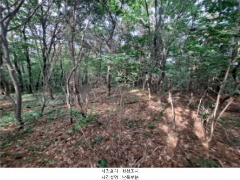 2024타경1991 충청남도 서산시 운산면 갈산리 산116 임야 경매 이미지