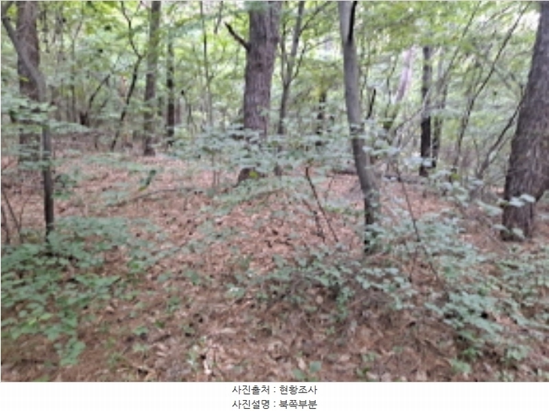 2024타경1991 충청남도 서산시 운산면 갈산리 산116 임야 경매 이미지