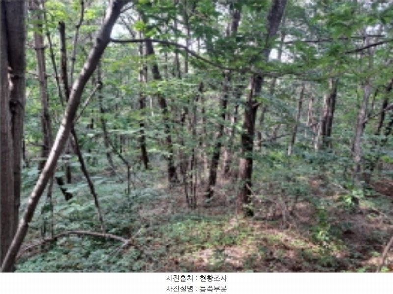 2024타경1991 충청남도 서산시 운산면 갈산리 산116 임야 경매 이미지