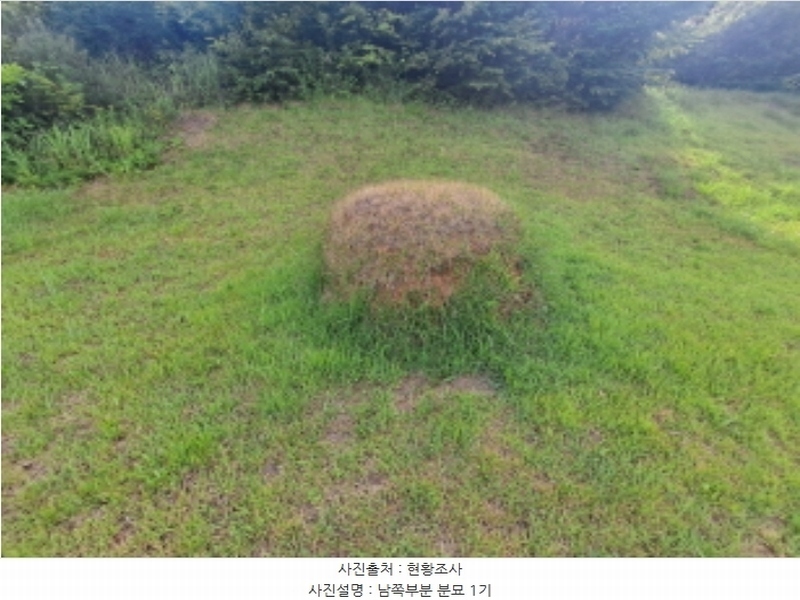 2024타경1991 충청남도 서산시 운산면 갈산리 산116 임야 경매 이미지
