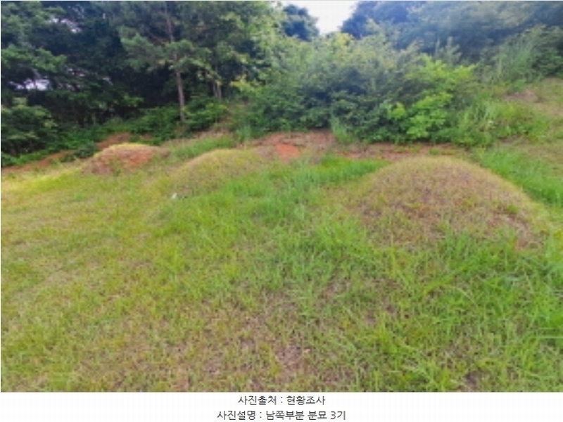 2024타경1991 충청남도 서산시 운산면 갈산리 산116 임야 경매 이미지