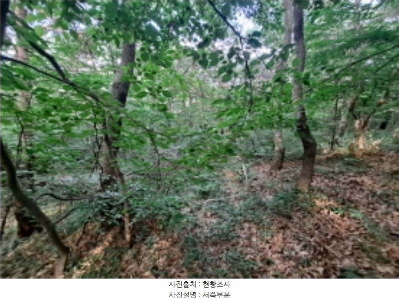 2024타경1991 충청남도 서산시 운산면 갈산리 산116 임야 경매 이미지