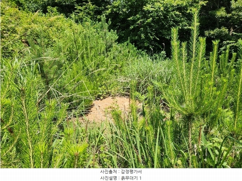 2024타경1991 충청남도 서산시 운산면 갈산리 산116 임야 경매 이미지