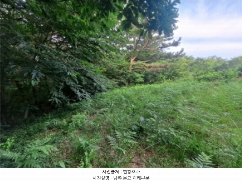 2024타경1991 충청남도 서산시 운산면 갈산리 산116 임야 경매 이미지
