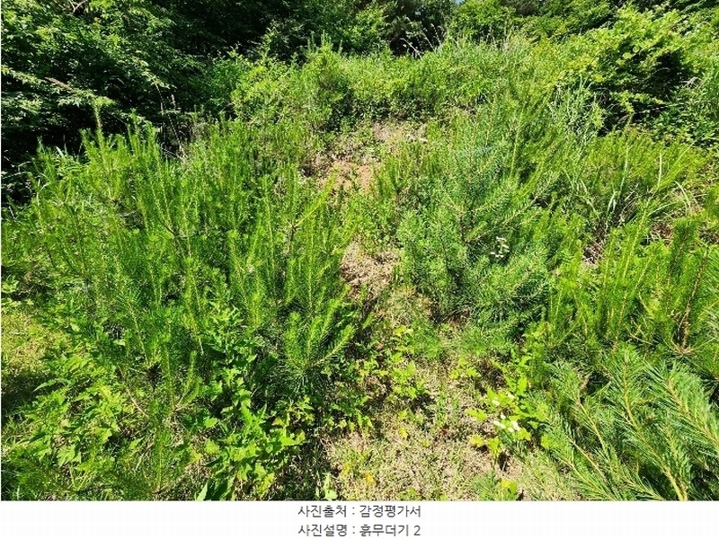 2024타경1991 충청남도 서산시 운산면 갈산리 산116 임야 경매 이미지