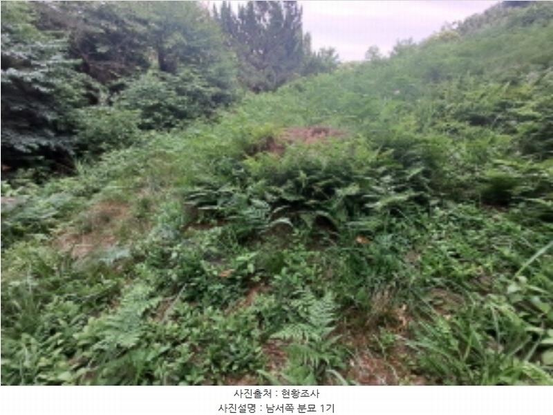 2024타경1991 충청남도 서산시 운산면 갈산리 산116 임야 경매 이미지