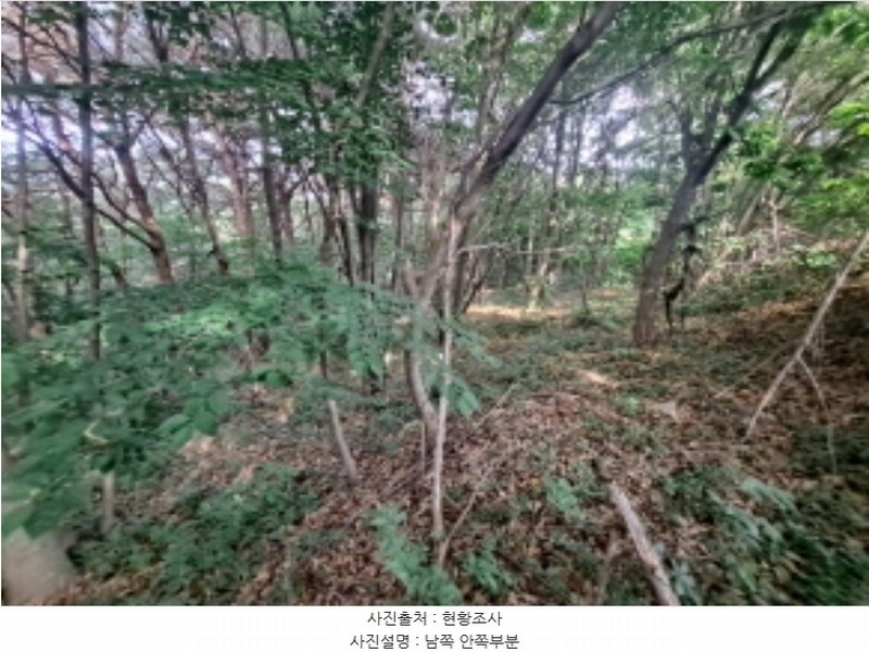 2024타경1991 충청남도 서산시 운산면 갈산리 산116 임야 경매 이미지