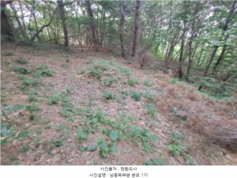 2024타경1991 충청남도 서산시 운산면 갈산리 산116 임야 경매 이미지