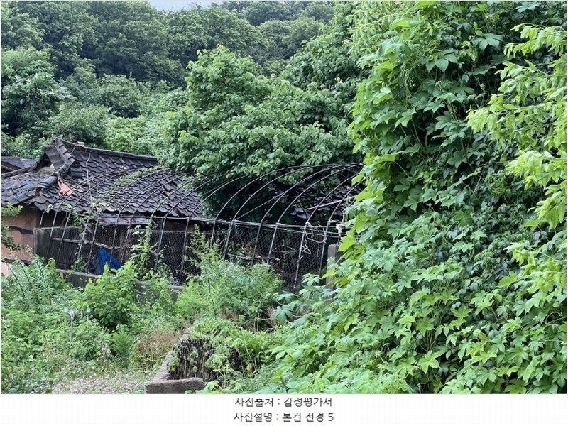 2024타경2390 충청남도 당진시 송악읍 금곡리 305-9 임야 경매 이미지