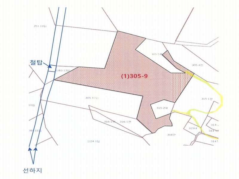 2024타경2390 충청남도 당진시 송악읍 금곡리 305-9 임야 경매 이미지