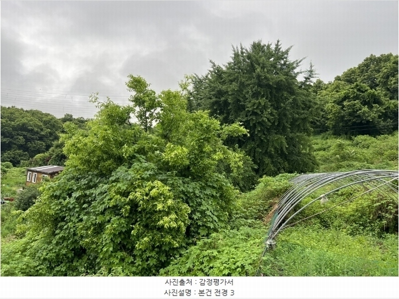 2024타경2390 충청남도 당진시 송악읍 금곡리 305-9 임야 경매 이미지