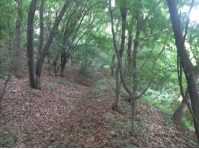 2024타경2390 충청남도 당진시 송악읍 금곡리 305-9 임야 경매 이미지