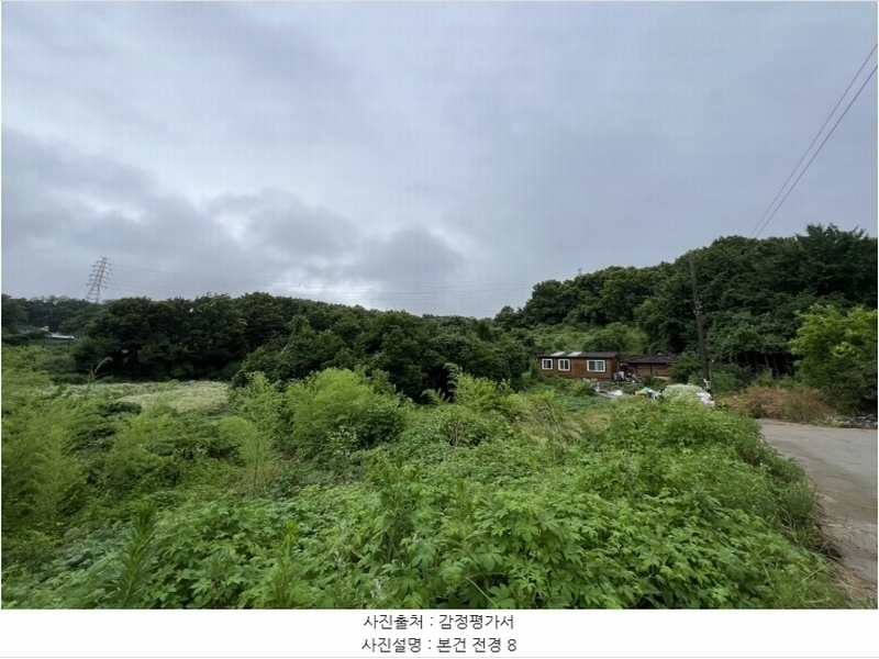 2024타경2390 충청남도 당진시 송악읍 금곡리 305-9 임야 경매 이미지