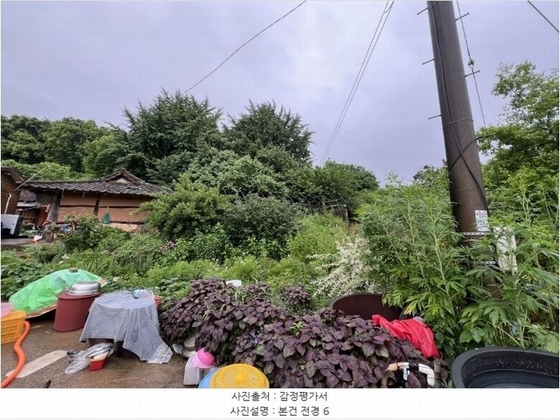 2024타경2390 충청남도 당진시 송악읍 금곡리 305-9 임야 경매 이미지