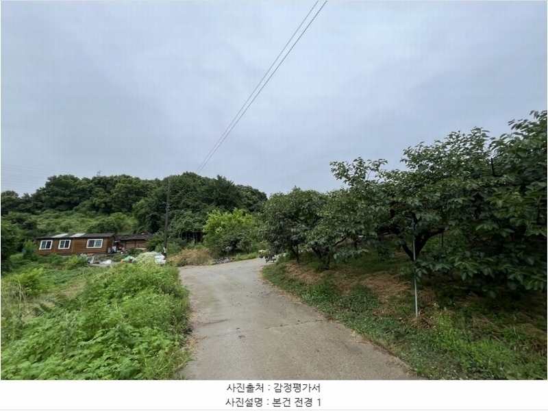 2024타경2390 충청남도 당진시 송악읍 금곡리 305-9 임야 경매 이미지