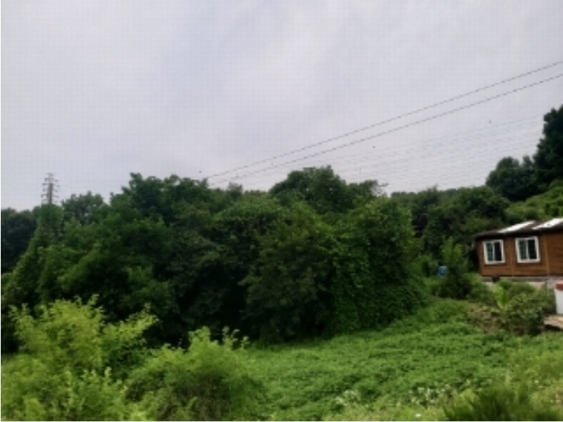 2024타경2390 충청남도 당진시 송악읍 금곡리 305-9 임야 경매 이미지