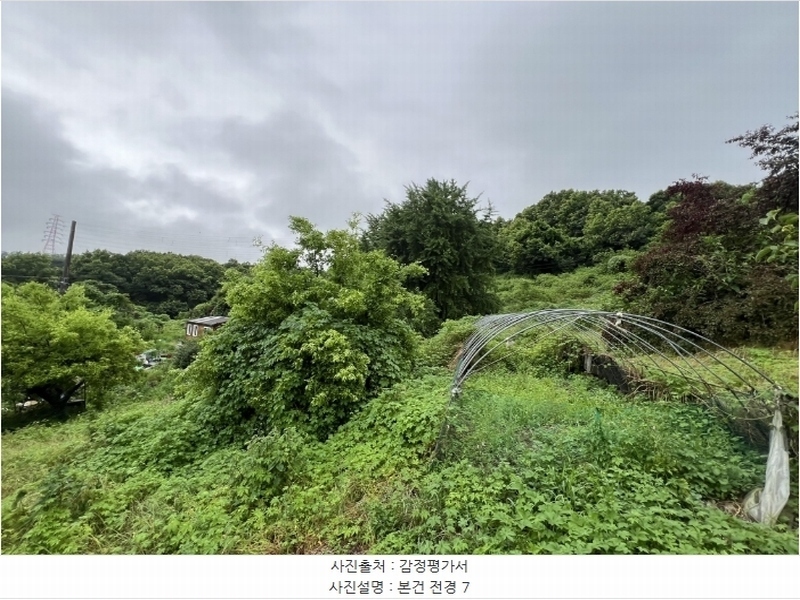 2024타경2390 충청남도 당진시 송악읍 금곡리 305-9 임야 경매 이미지