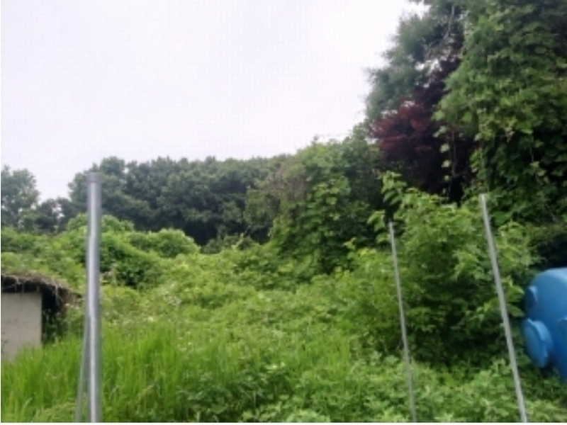 2024타경2390 충청남도 당진시 송악읍 금곡리 305-9 임야 경매 이미지