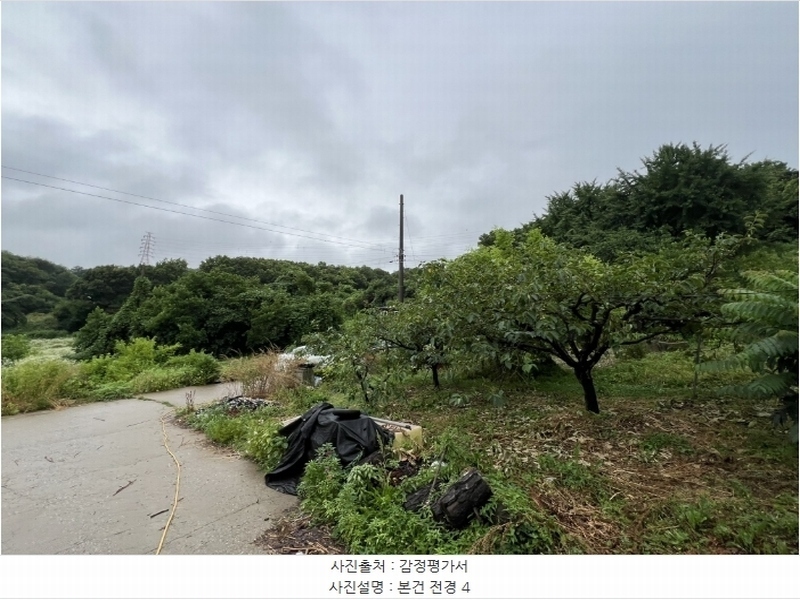 2024타경2390 충청남도 당진시 송악읍 금곡리 305-9 임야 경매 이미지