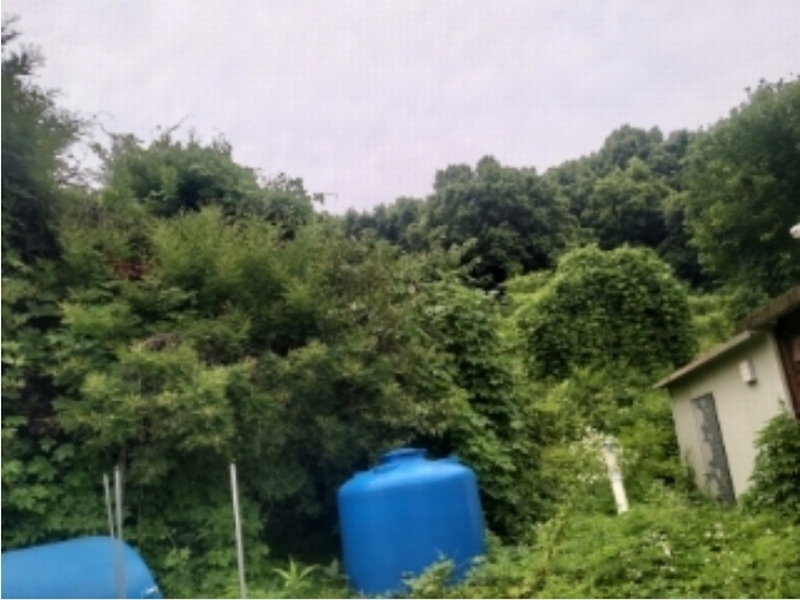 2024타경2390 충청남도 당진시 송악읍 금곡리 305-9 임야 경매 이미지