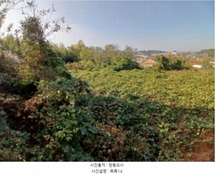 2024타경4037 충청남도 당진시 석문면 통정리 417-1 임야 경매 이미지