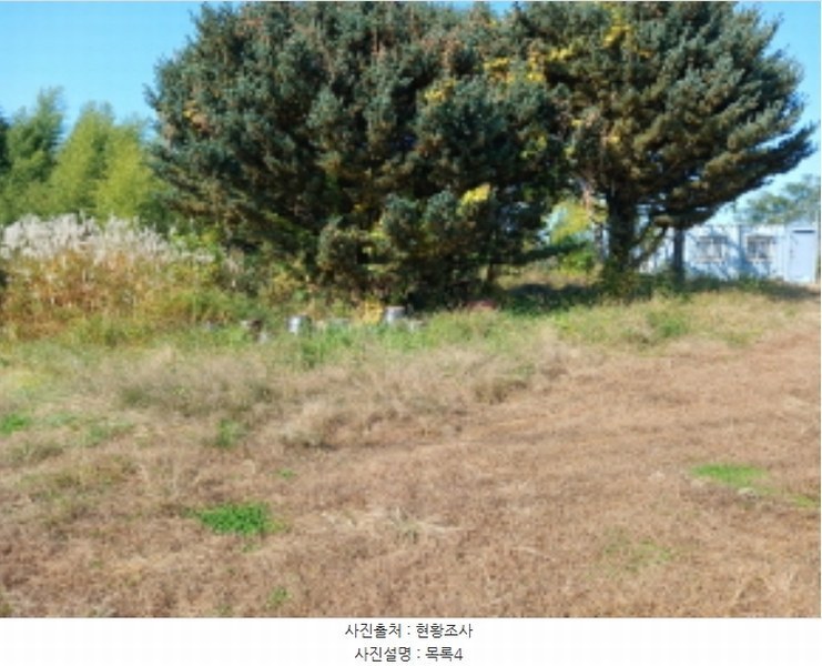 2024타경4037 충청남도 당진시 석문면 통정리 417-1 임야 경매 이미지