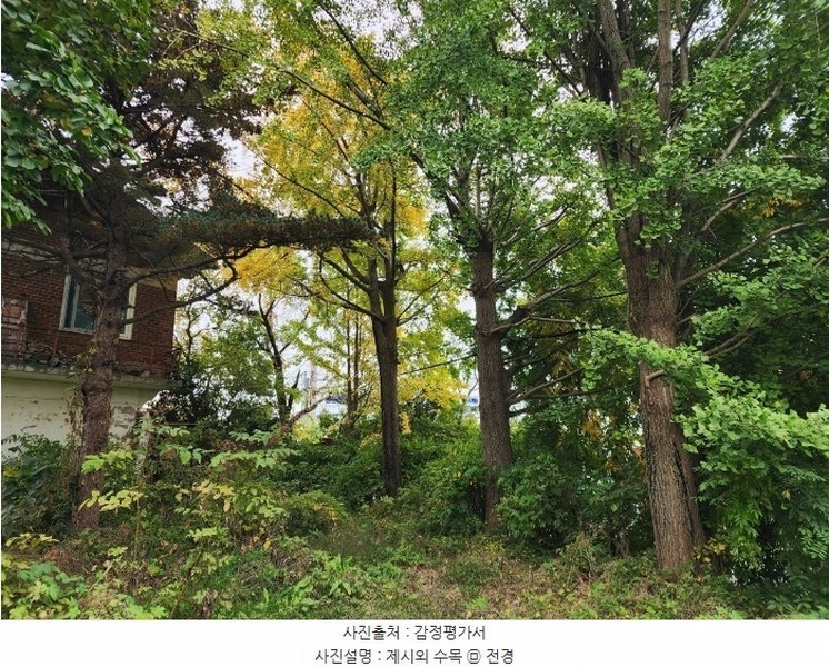 2024타경4037 충청남도 당진시 석문면 통정리 417-1 임야 경매 이미지