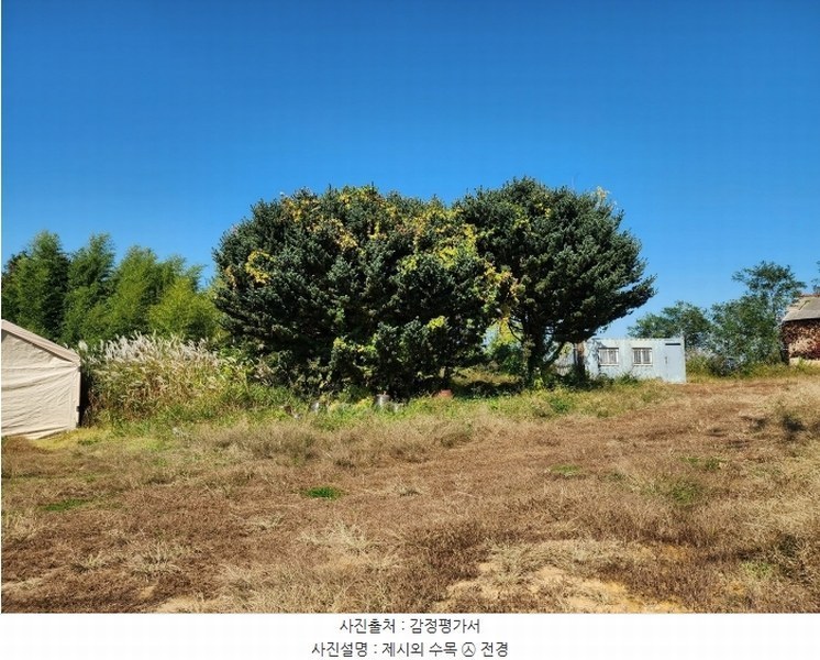 2024타경4037 충청남도 당진시 석문면 통정리 417-1 임야 경매 이미지