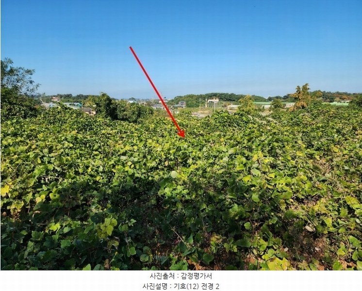 2024타경4037 충청남도 당진시 석문면 통정리 417-1 임야 경매 이미지