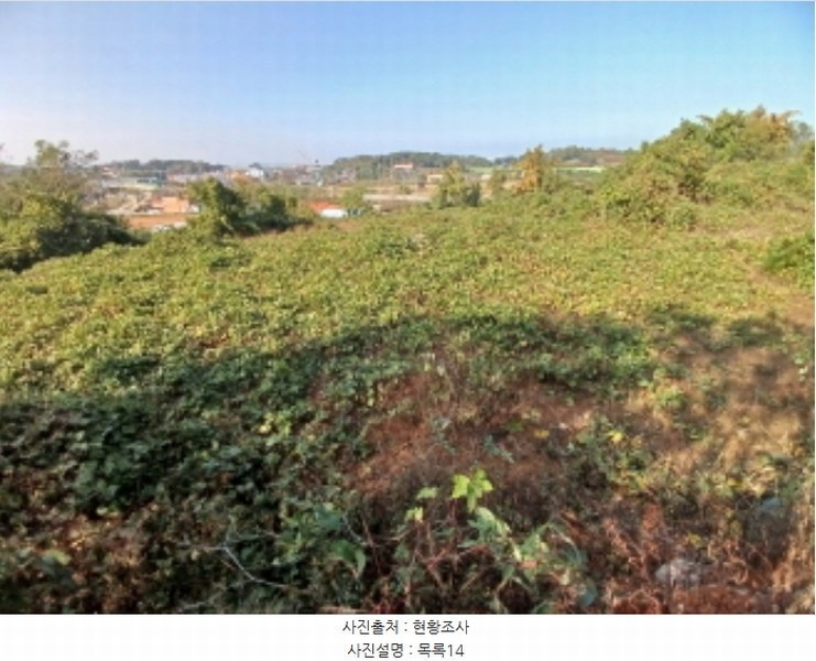 2024타경4037 충청남도 당진시 석문면 통정리 417-1 임야 경매 이미지