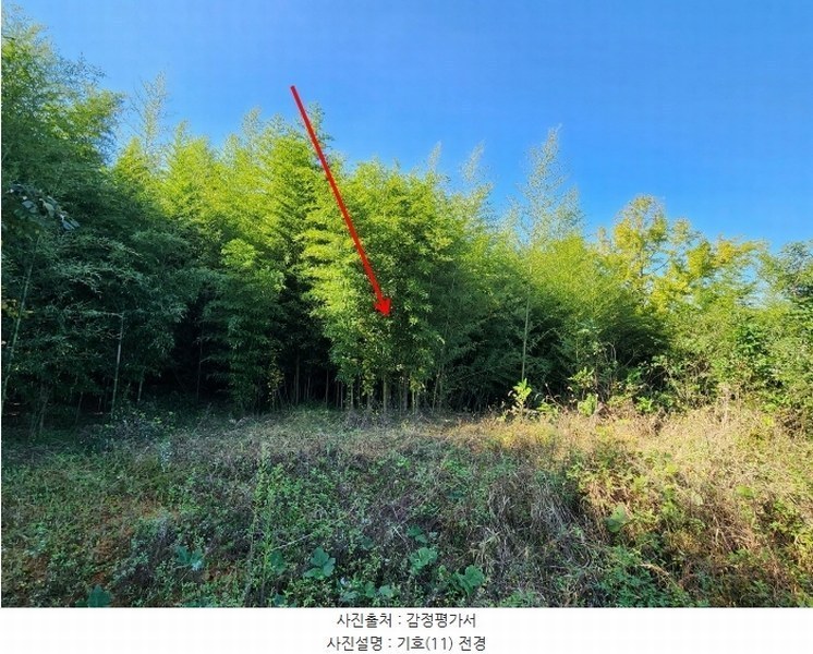 2024타경4037 충청남도 당진시 석문면 통정리 417-1 임야 경매 이미지