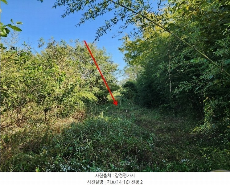 2024타경4037 충청남도 당진시 석문면 통정리 417-1 임야 경매 이미지