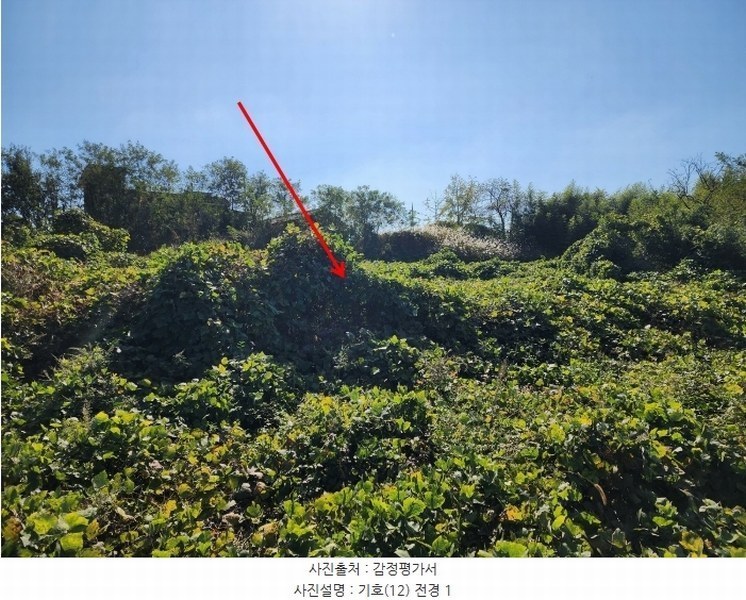 2024타경4037 충청남도 당진시 석문면 통정리 417-1 임야 경매 이미지
