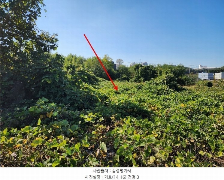 2024타경4037 충청남도 당진시 석문면 통정리 417-1 임야 경매 이미지