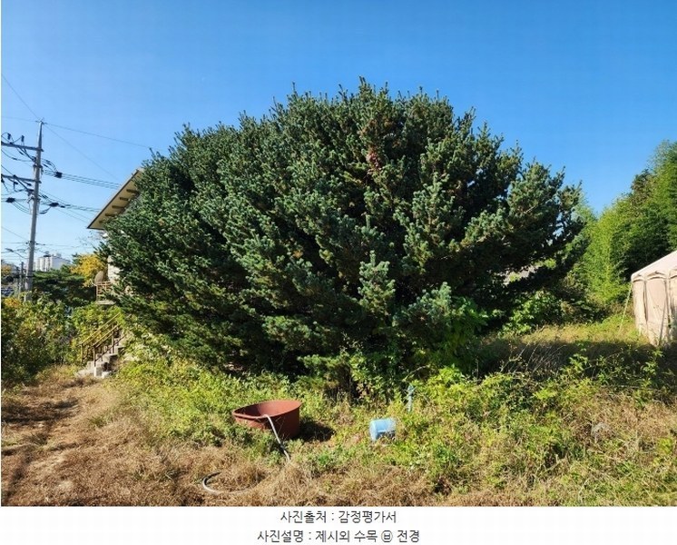 2024타경4037 충청남도 당진시 석문면 통정리 417-1 임야 경매 이미지