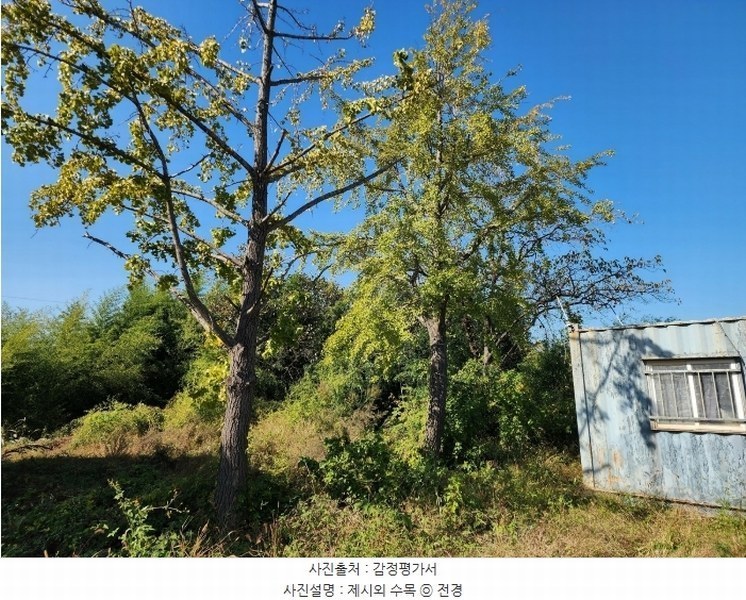 2024타경4037 충청남도 당진시 석문면 통정리 417-1 임야 경매 이미지