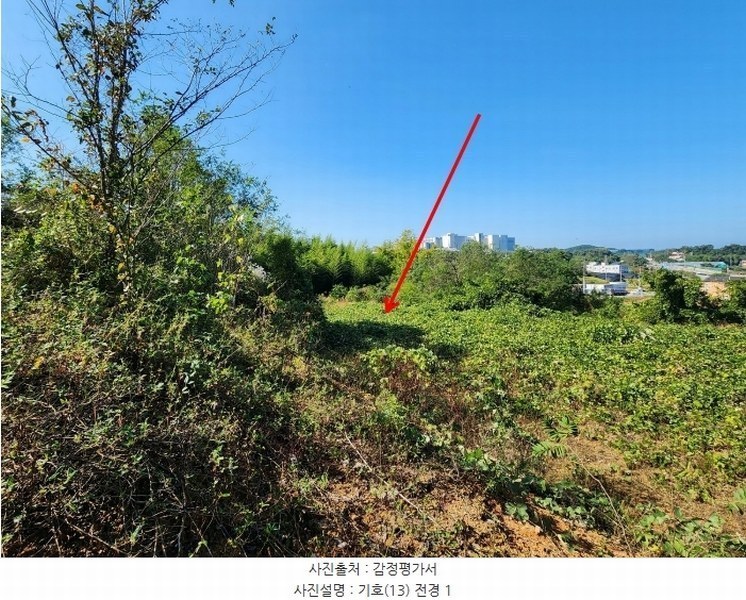 2024타경4037 충청남도 당진시 석문면 통정리 417-1 임야 경매 이미지