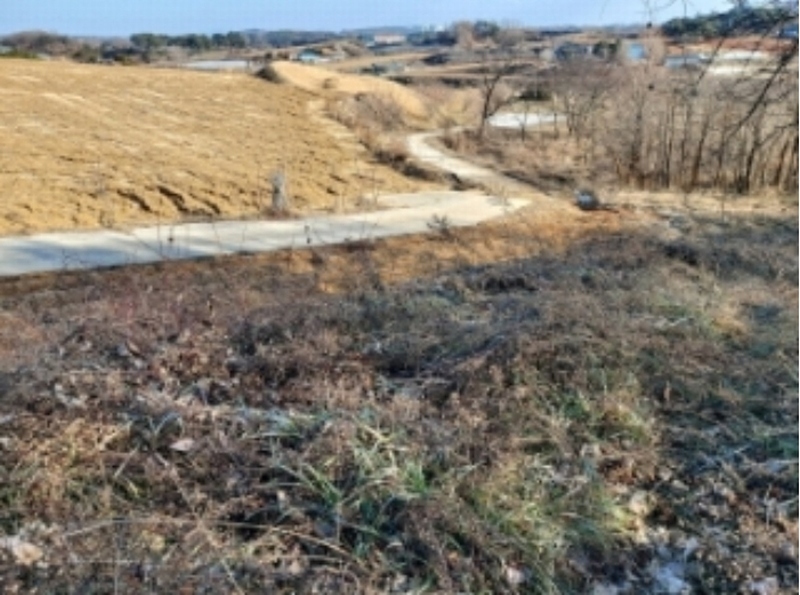 2024타경4914 충청남도 당진시 신평면 초대리 628-31 임야 경매 이미지