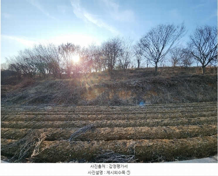 2024타경4914 충청남도 당진시 신평면 초대리 628-31 임야 경매 이미지