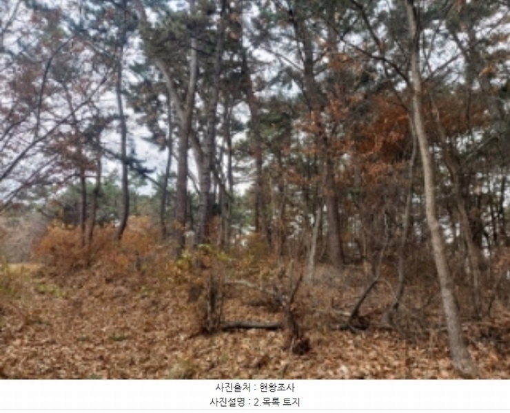 2024타경60976 충청남도 당진시 송악읍 중흥리 산137-2 임야 경매 이미지
