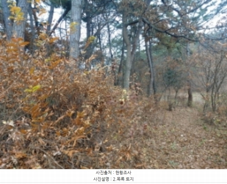 2024타경60976 충청남도 당진시 송악읍 중흥리 산137-2 임야 경매 이미지