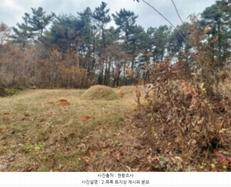 2024타경60976 충청남도 당진시 송악읍 중흥리 산137-2 임야 경매 이미지