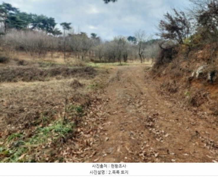 2024타경60976 충청남도 당진시 송악읍 중흥리 산137-2 임야 경매 이미지