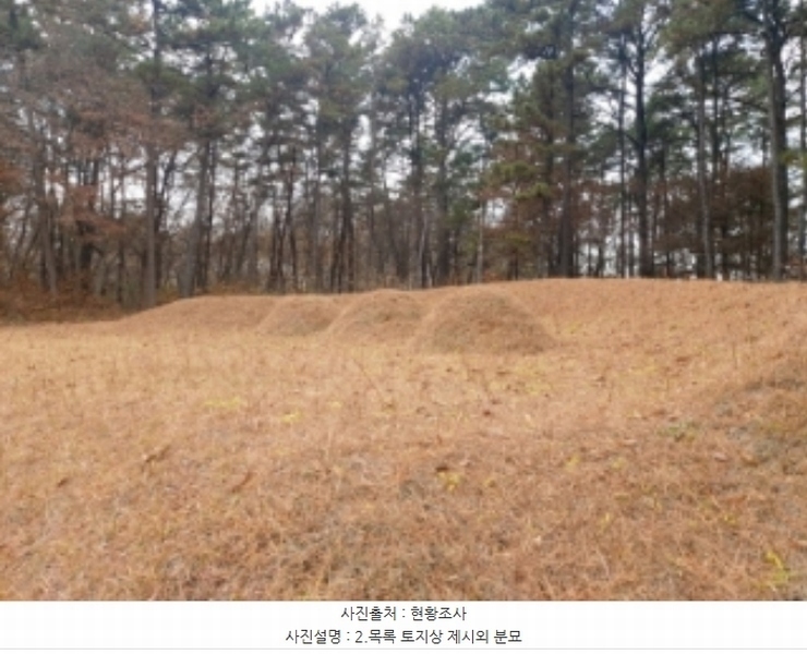 2024타경60976 충청남도 당진시 송악읍 중흥리 산137-2 임야 경매 이미지