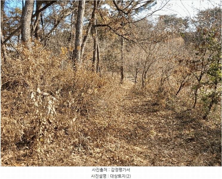 2024타경60976 충청남도 당진시 송악읍 중흥리 산137-2 임야 경매 이미지