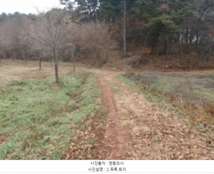 2024타경60976 충청남도 당진시 송악읍 중흥리 산137-2 임야 경매 이미지