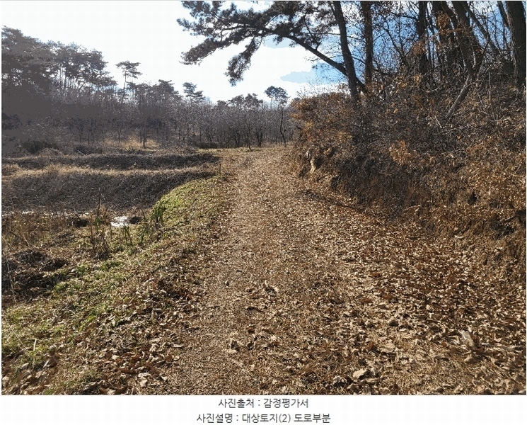 2024타경60976 충청남도 당진시 송악읍 중흥리 산137-2 임야 경매 이미지